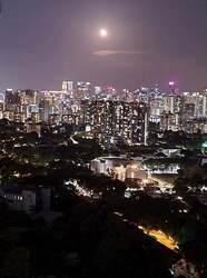 Blk 95 Skyparc @ Dawson (Queenstown), HDB 2 Rooms #538327151